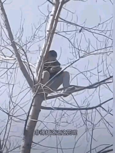 这孩子真是勇气可嘉，不想后果……