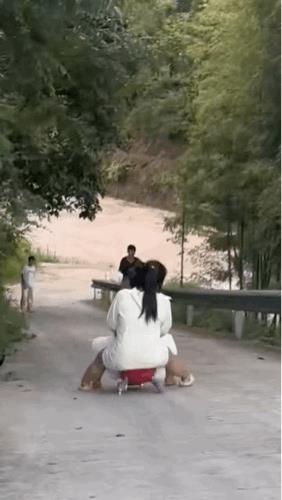 这辆扭扭车承受了他不该承受的重量和速度[捂脸]