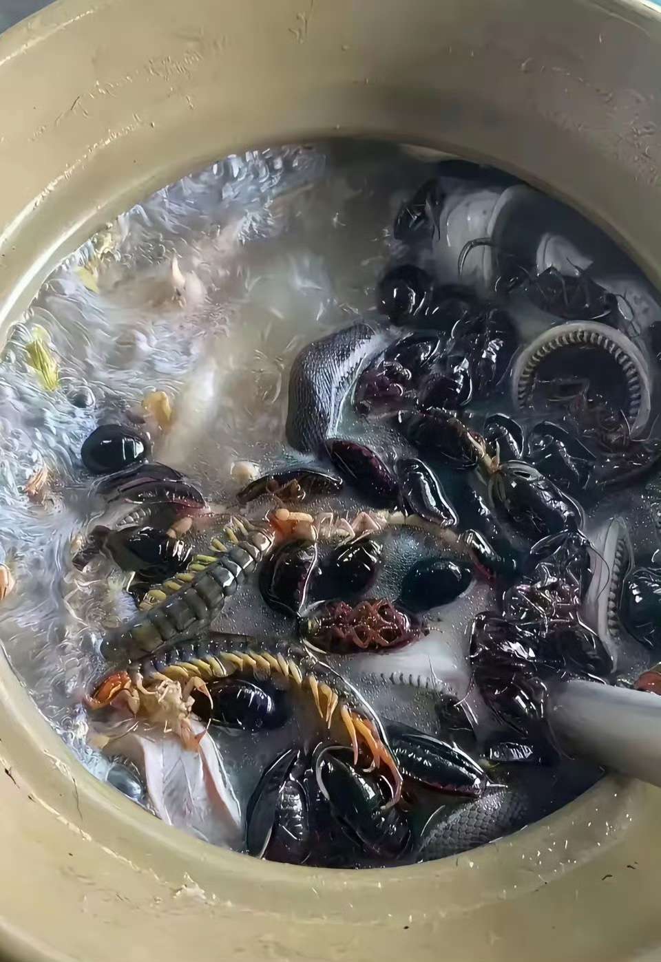 妈呀！ 79岁农村婆婆给我做的月子餐。 这是什么呀？ 能吃吗？