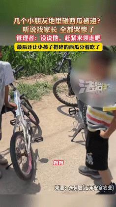 做得对啊！浙江，男子在瓜地干活，看到不远处有几个小孩哥在地里玩耍，走过去一看竟然
