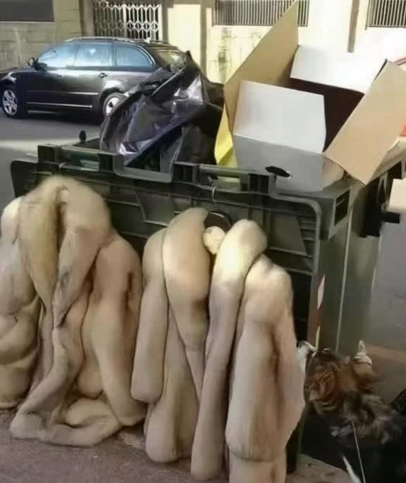 贵州女教师遭遇性侵，警方初拒立案引发社会公愤