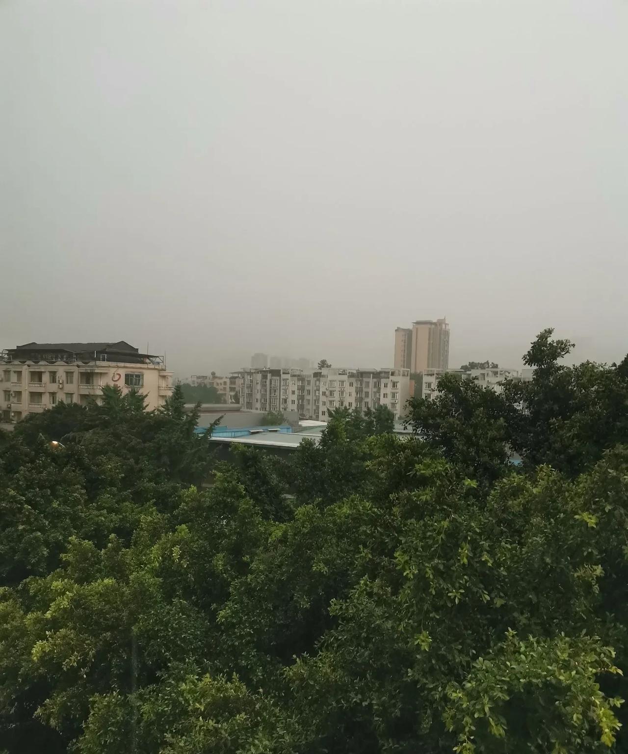 眉山又下雨了，而且是暴雨。
自从入伏以后，这段时间眉山三天两头下雨，大部分时间都