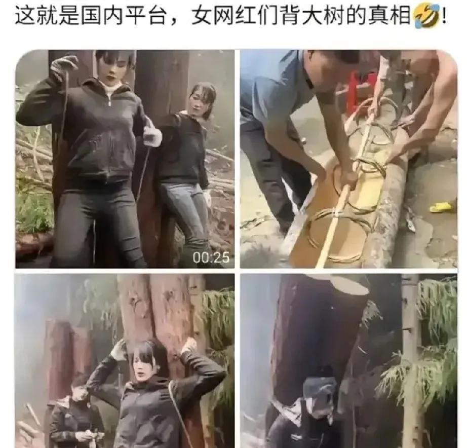 熊出没中亦有记载[思考]
