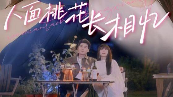 《人面桃花长相忆》81集，孟嘉鑫、艾泓辰主演，雾梨发现闻砚辞竟是闻家太子爷，高清完整版免费观看！
