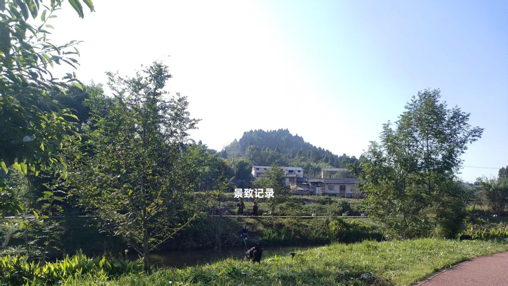 景致记录：狄更斯美国游，遇到想改善铜矿的人，坐船廊看两岸风景