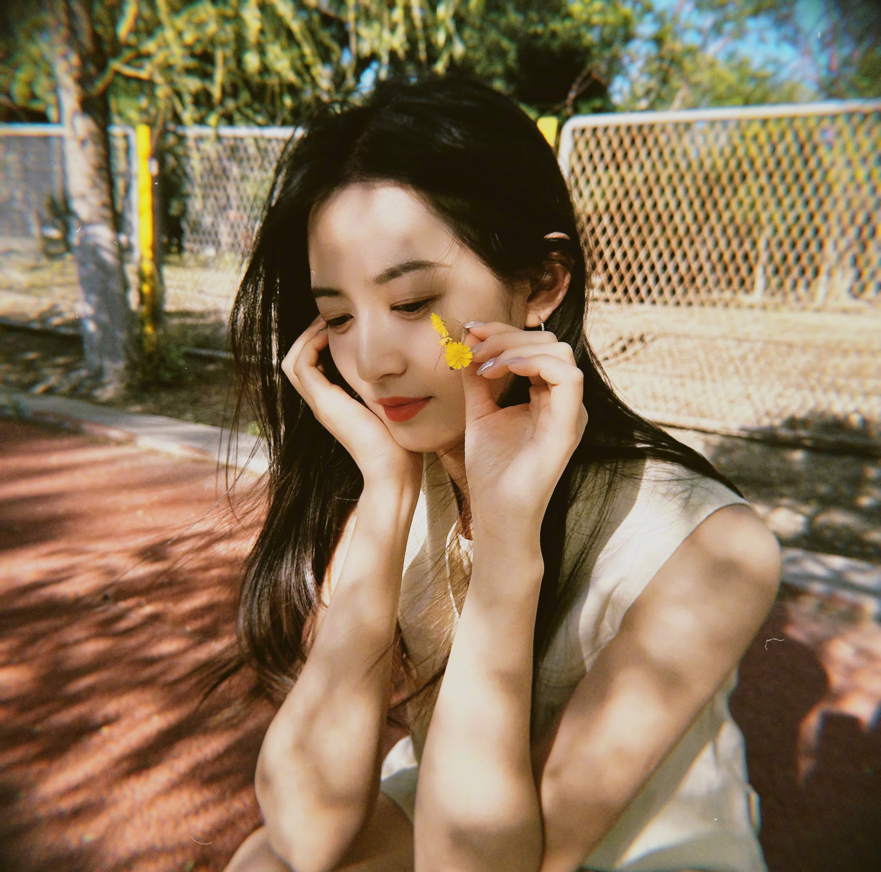 美好的一天从路旁的小野花与清晨的阳光开始