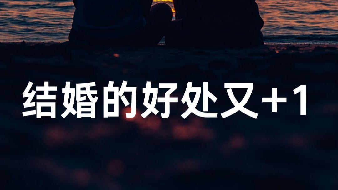 论人类配偶在数字时代的不可替代性