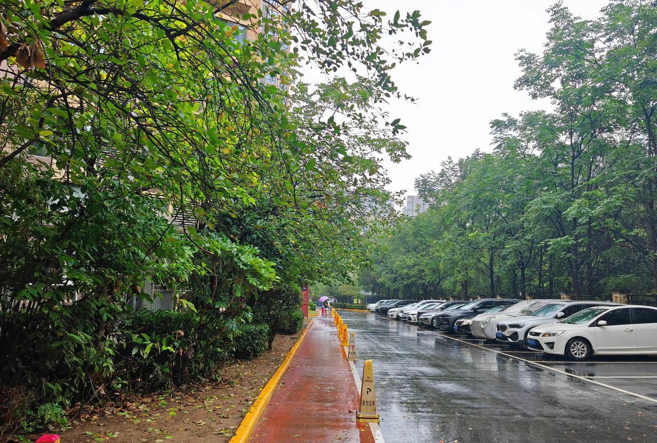 西安的雨是浪漫的雨，先是给信说要来，却又得千呼万唤始出来，来的不疾不徐，恰到好处