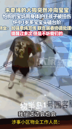 “必须严惩！”广东广州，一女子正带着孩子在楼下玩耍，突然，一条没有栓绳的大狗冲向
