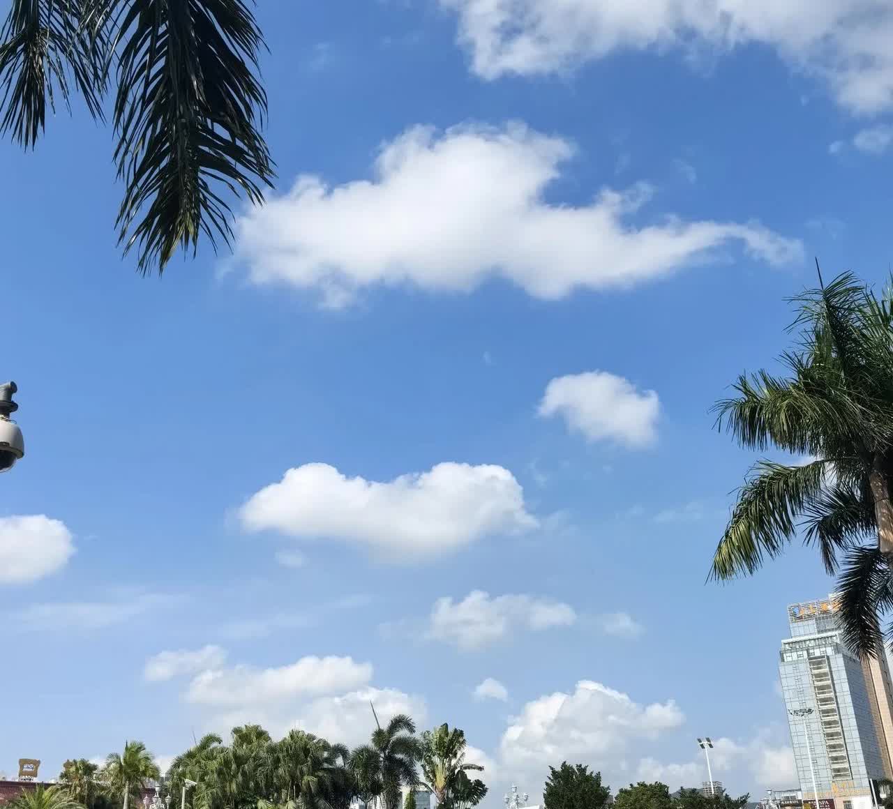 蔡澜走了的这么些天，我总想起我的一个朋友，他跟蔡澜有好多的相似点，好吃好玩呼朋唤
