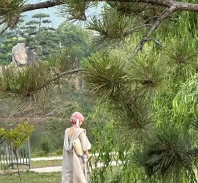 网友在公园偶遇赵丽颖，没想到本人好白好嫩，一头粉发很扎眼，美得冒泡。

赵丽