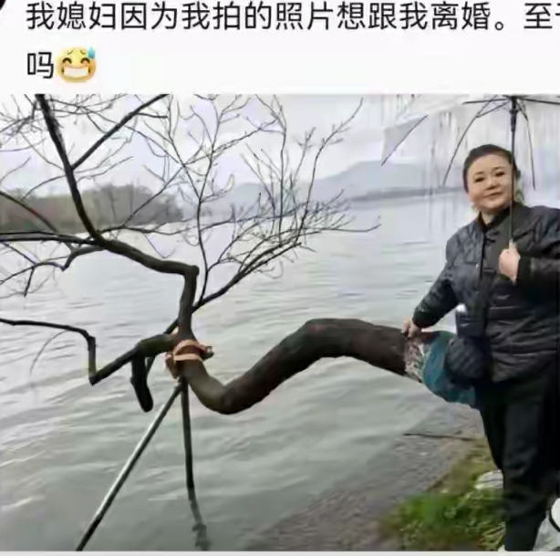 ‬格鲁特。