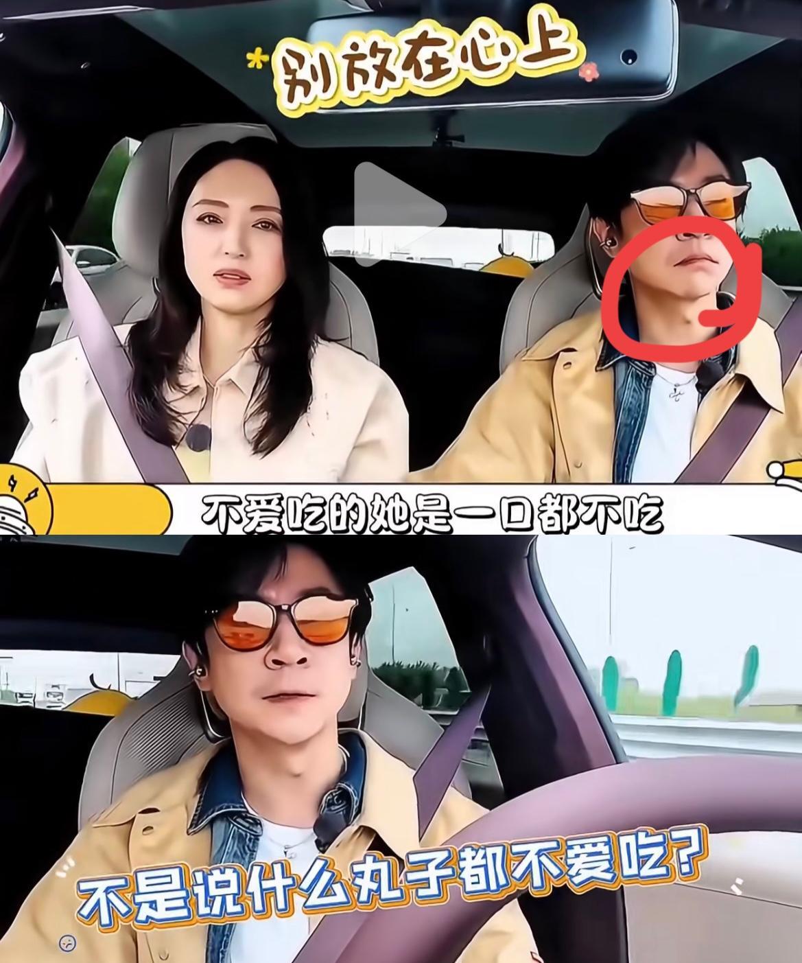 一件事，一个动作，
就能看出张维伊这个人，
小气还记仇！
因为带回来的丸子，
董