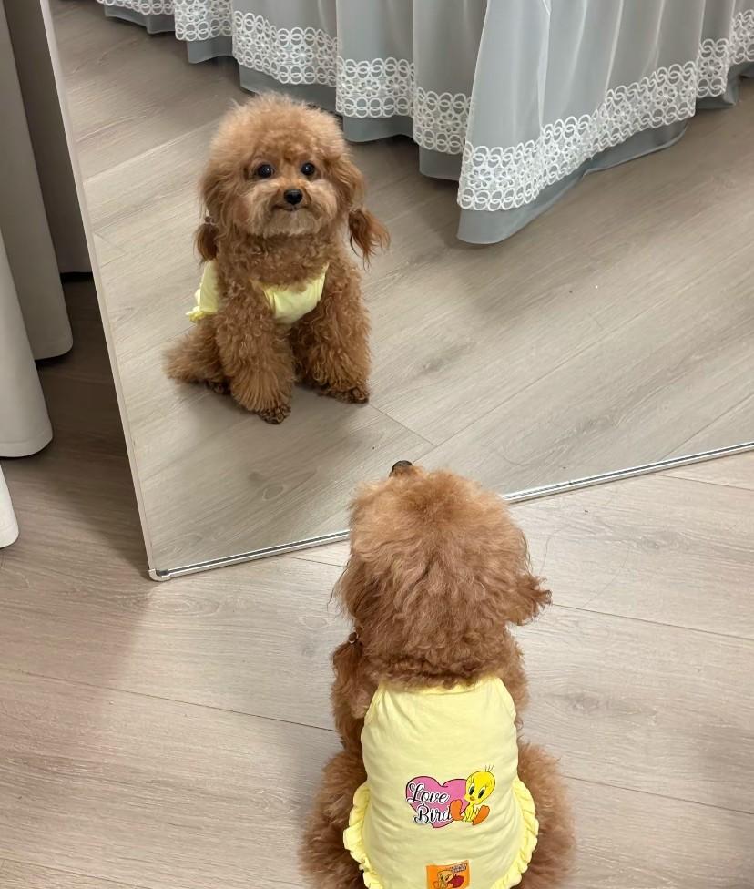 这可咋整！换了个新衣服已经蹲在镜子前半个小时了～