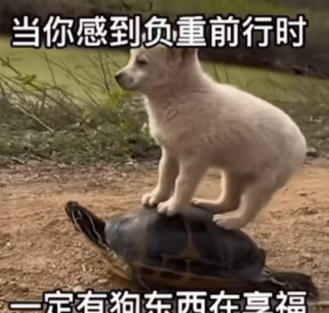 周五晚上，
和一朋友去烧烤，
边喝酒边聊天，
倒也快活。
聊着聊着，
难免发发牢