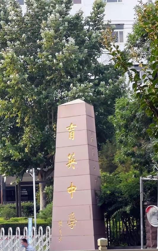 现在当务之急是做好田老师的心理疏导！
她杀人放火了吗？就是对学生处理冲动了，现在