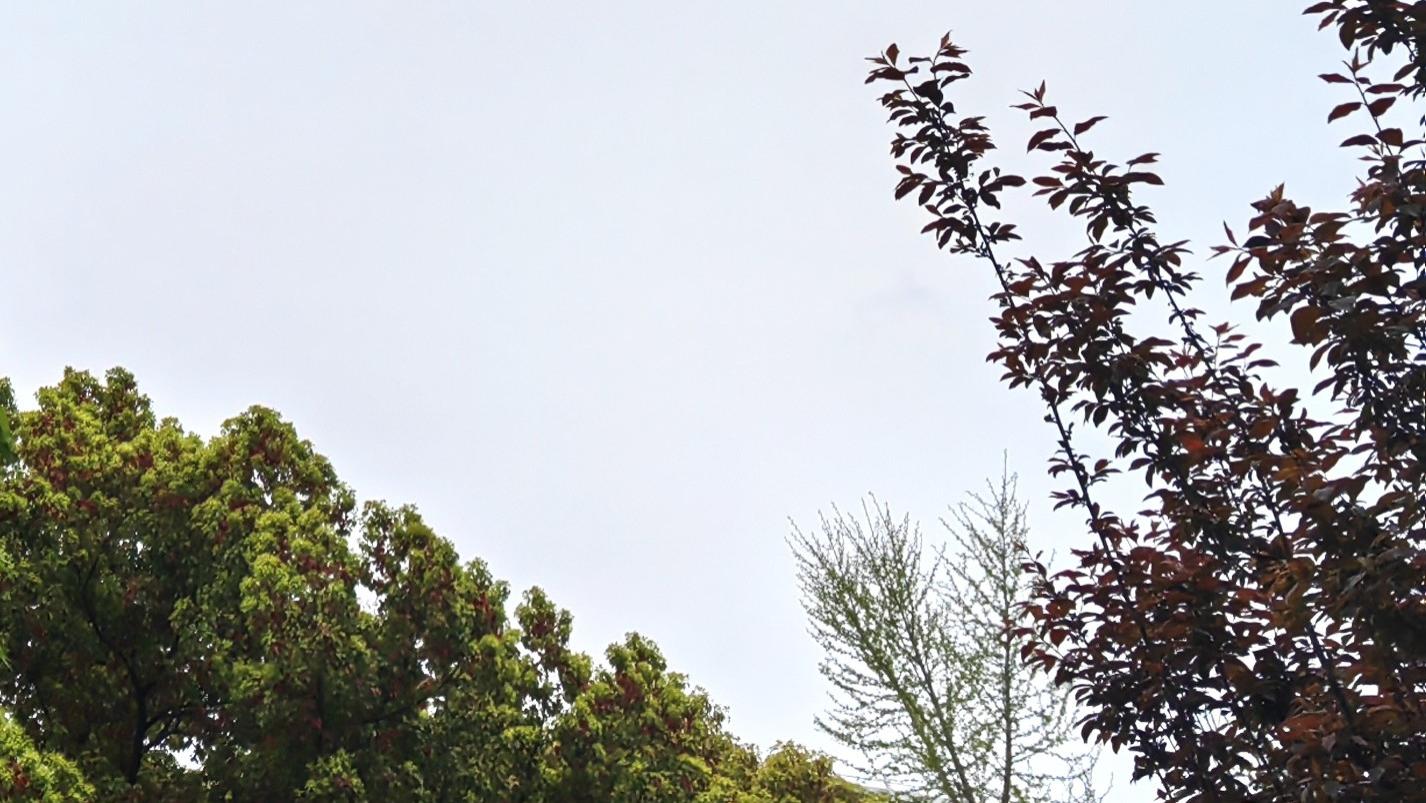 人在职场：不揣测，不琢磨