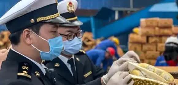 赚中国人钱还毒害中国人？泰国榴莲这事越挖越吓人，很多中国人都爱吃，可谁能想到，这