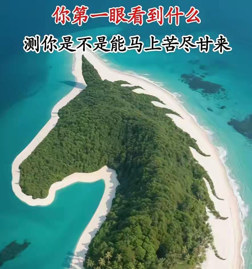 你第一眼看到什么 ，
测你是不是能马上苦尽甘来？
A：马头
B：岛屿