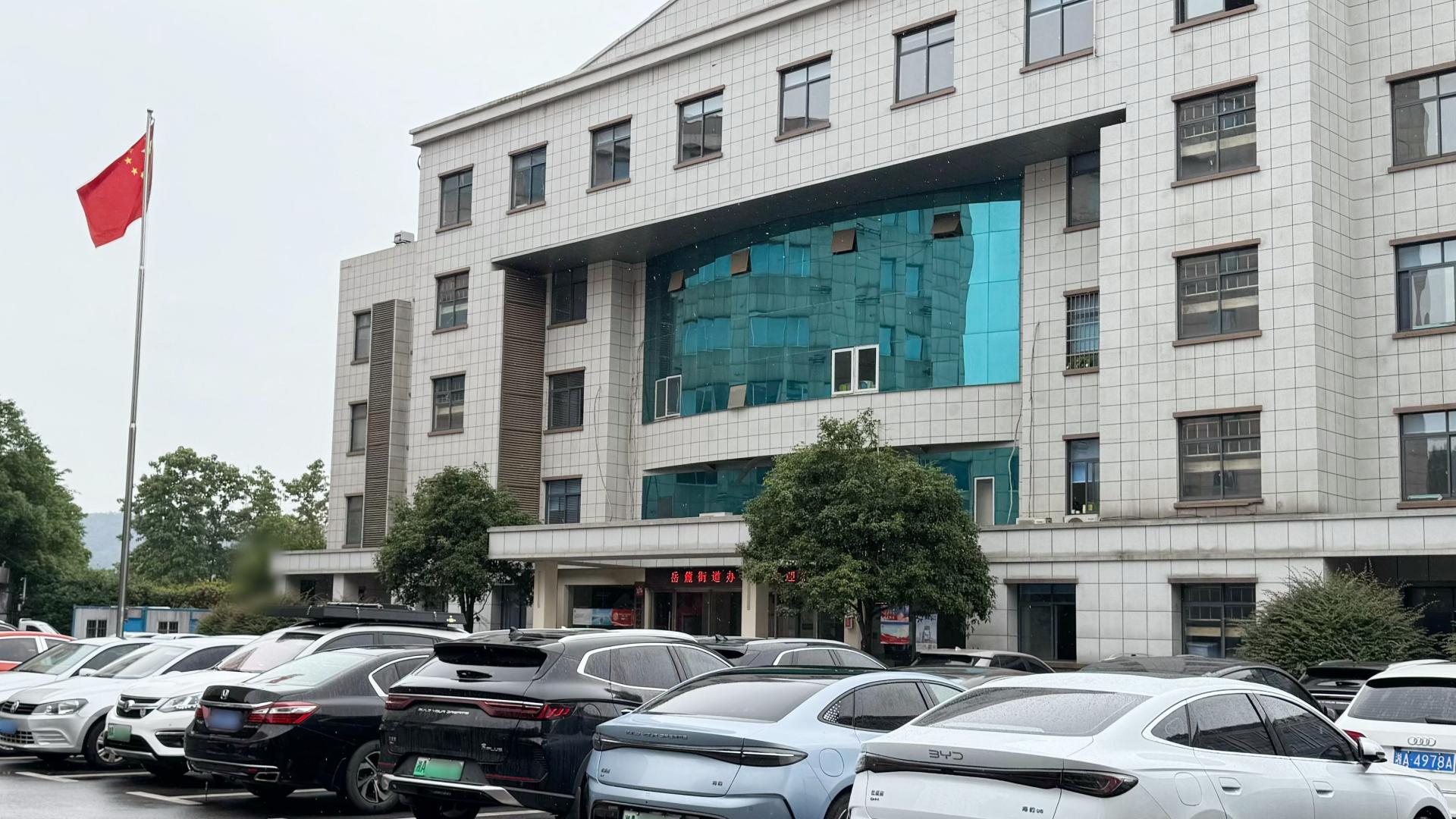 实拍政府停车场，为何国产新能源会成为公务员首选？