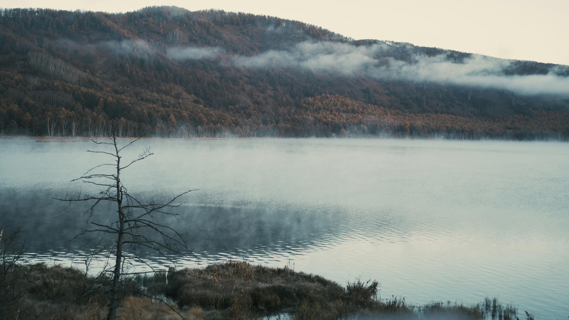 周运丨祁飞Moran 本周星象＋12星座运势（12.1—12.7）