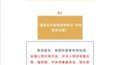 七旬母亲因文书材料问题被认定有责，女儿坚持申诉：一份内部处理文件为何成为案件关键？