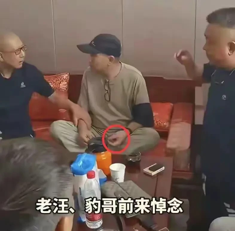 杨义这个人，不知道说他什么好了
父亲的追悼会上，他居然盘串，与人大笑合影，这就