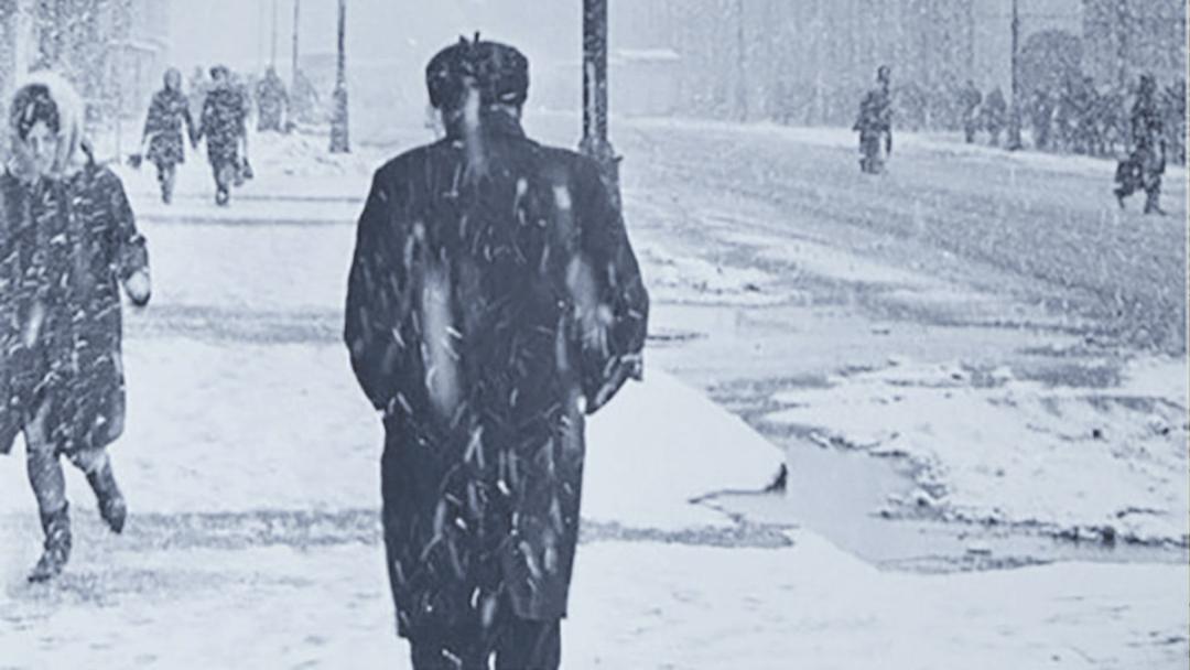 当饥饿比子弹更准，孩子成了流弹