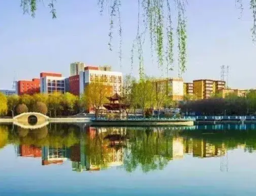 儿子前年参加的高考，成绩出来，报志愿我首选都是新疆大学，以儿子的成绩，如果想走个