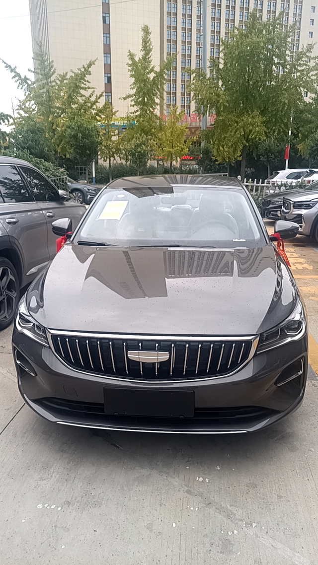 帝豪手动龙腾
25款手动龙腾，没什么毛病，提车到现在跑了400多km，实际算下来