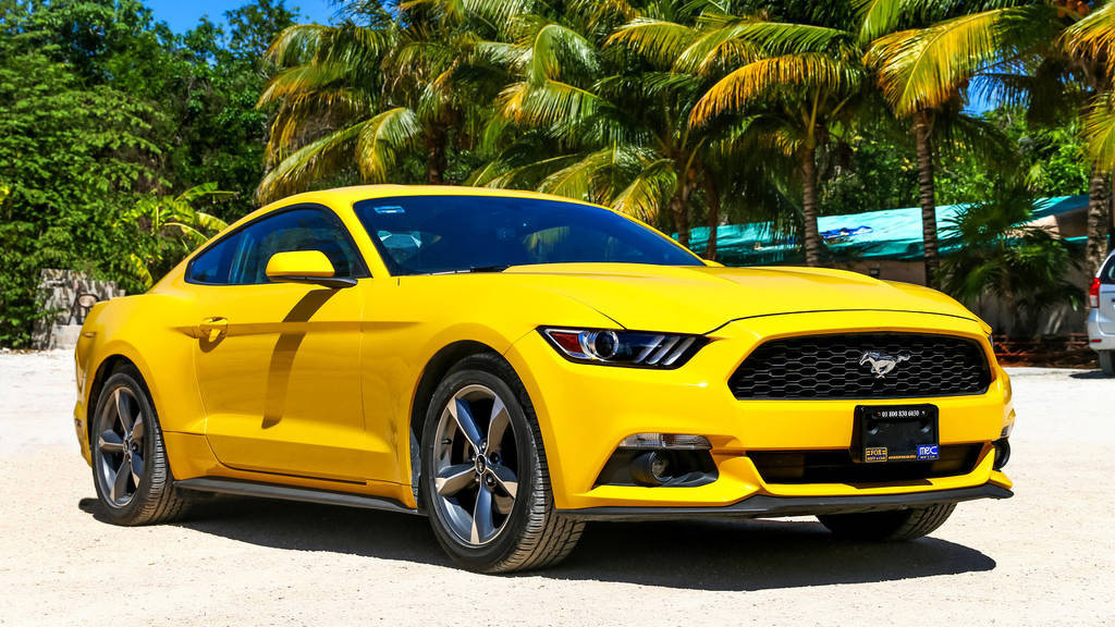 汽车的空调系统如何维护以保证使用效果？