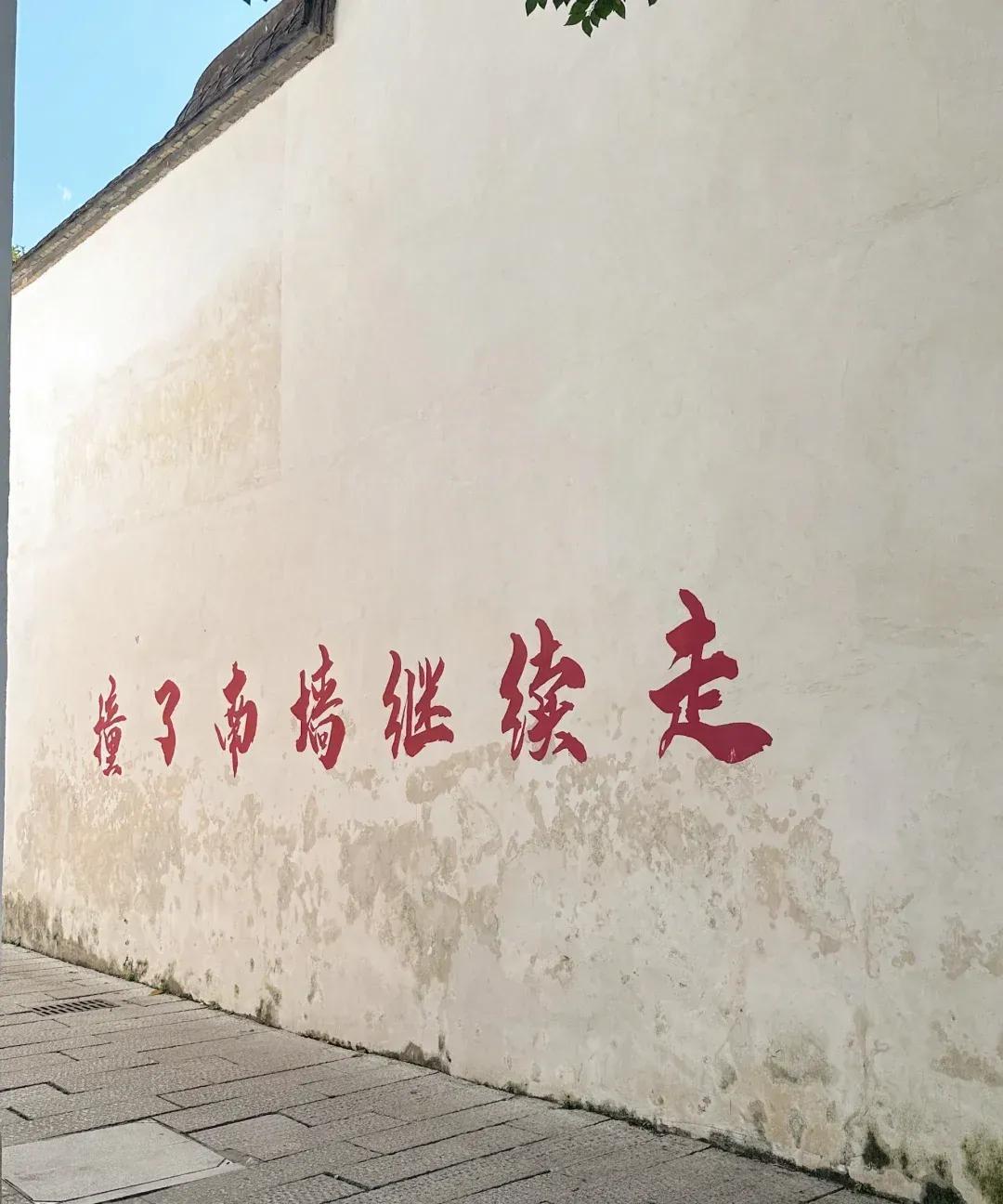 这一段话说得真好： 
能说服一个人的，从来不是道理，而是南墙。
能点醒一个人，从
