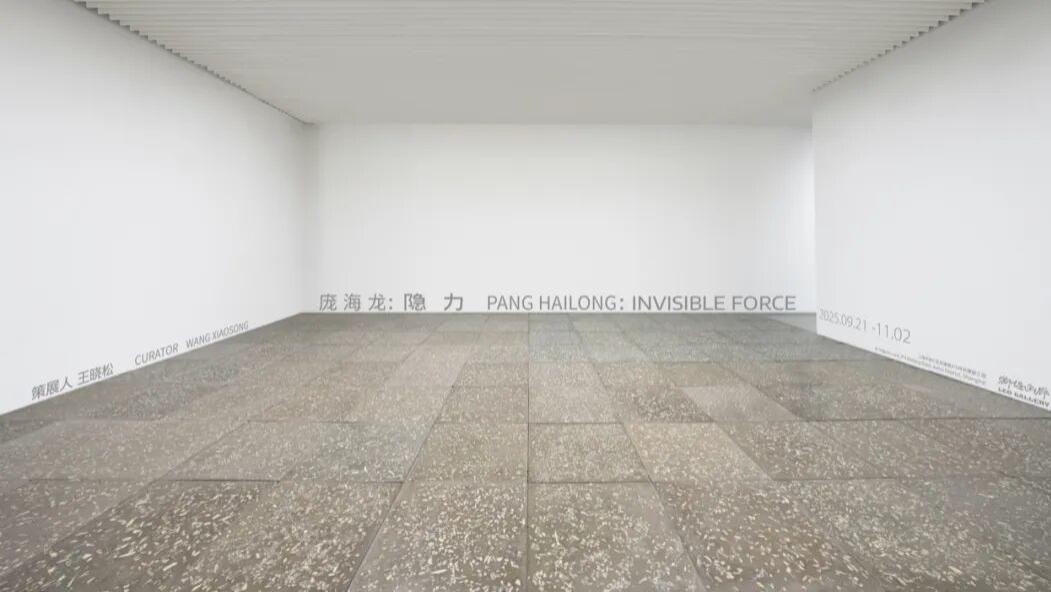 “庞海龙：隐力”即将亮相上海狮語