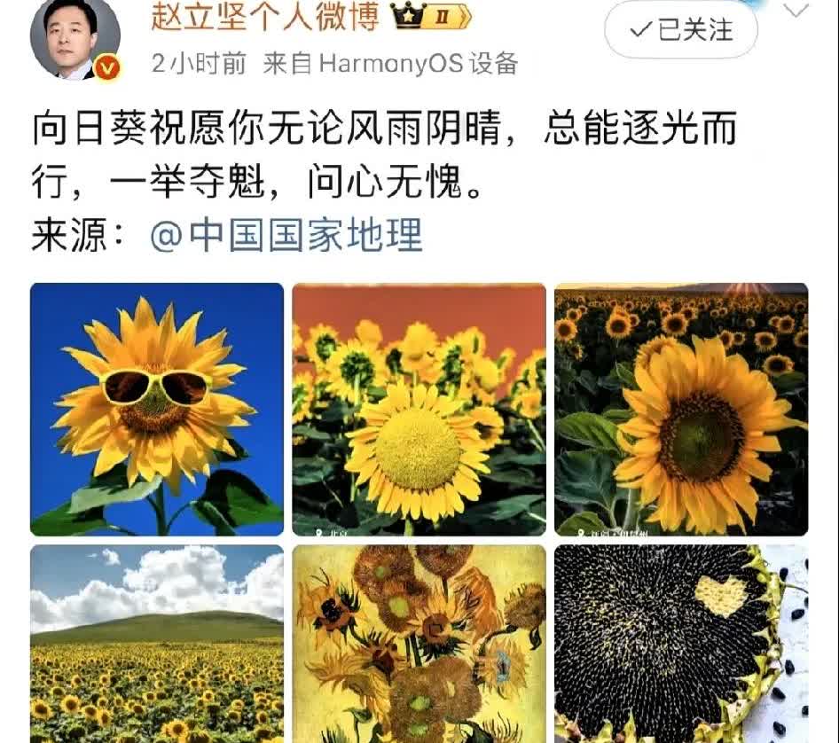 外交官对莎头的鼓励真的是又暖又稳。

读书的意义不止于此，读书的意义在于优雅