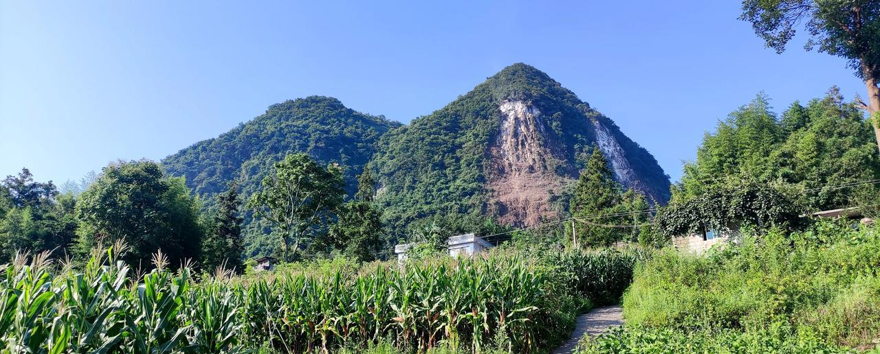 上午8点，与朋友一道徒步楚米镇的煤洞坡。公路两侧差不多都是农家乐，有葱绿的树木，
