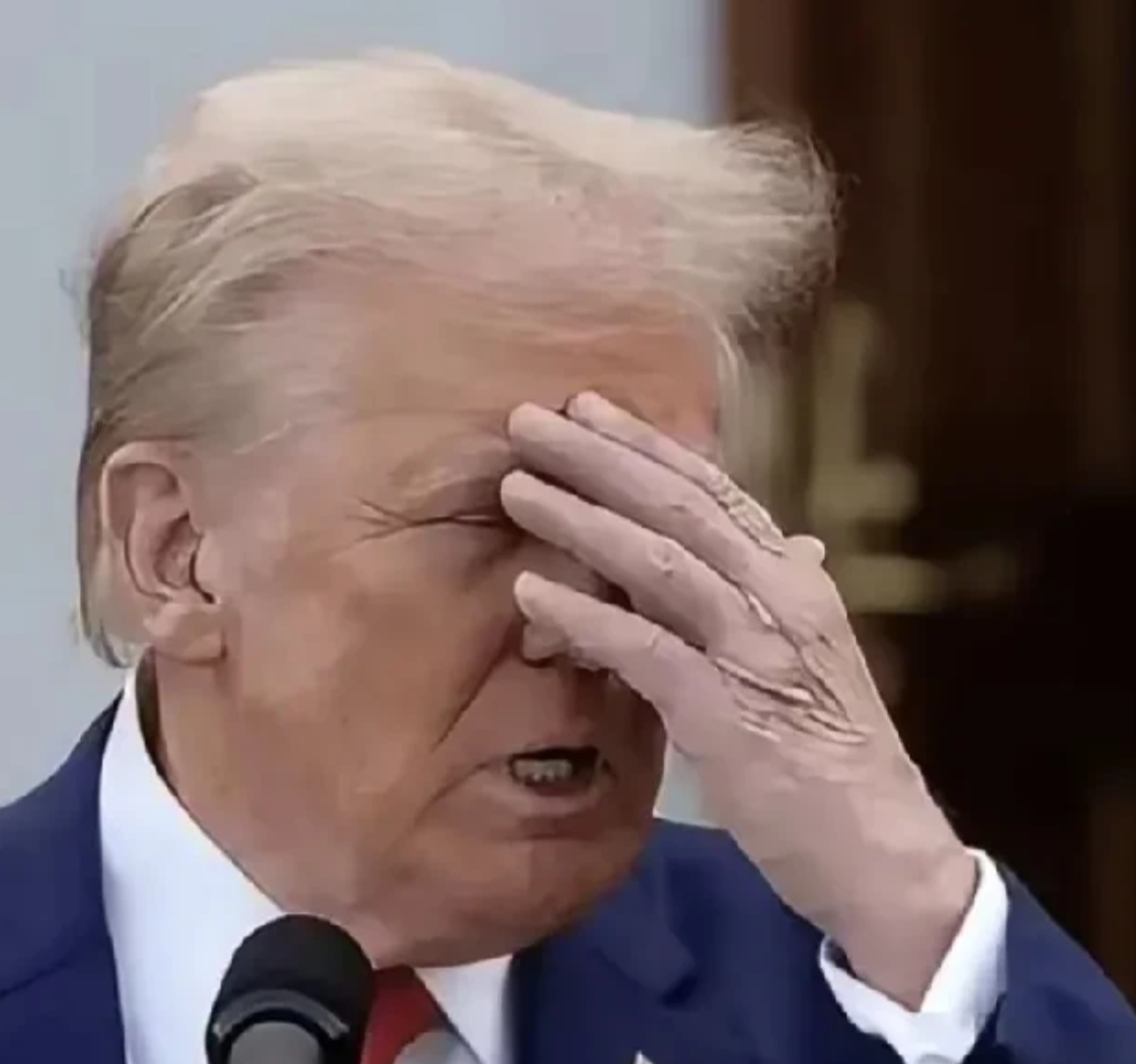 大快人心！美国惹众怒！世界各国开始反击，特朗普慌了！自特朗普宣布对全世界增收25