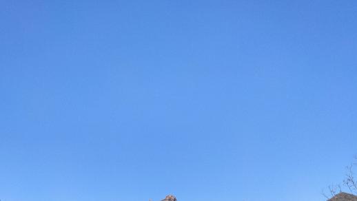 昨晚逆子回家了。 我感觉他就是我的报应！