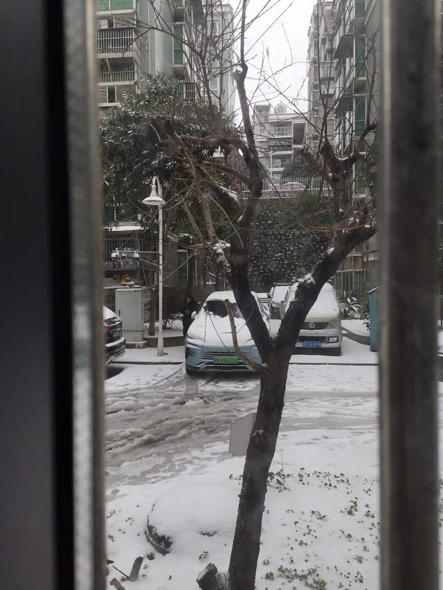 说说比亚迪的雪地模式吧
今天我们这大雪，血很厚1第一次用雪地模式跑，10-20码