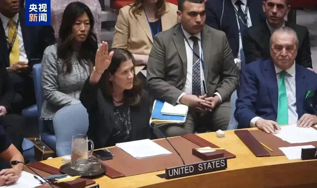 美国一票否决，加沙战火不止











让人心头一紧！全球14个国家都