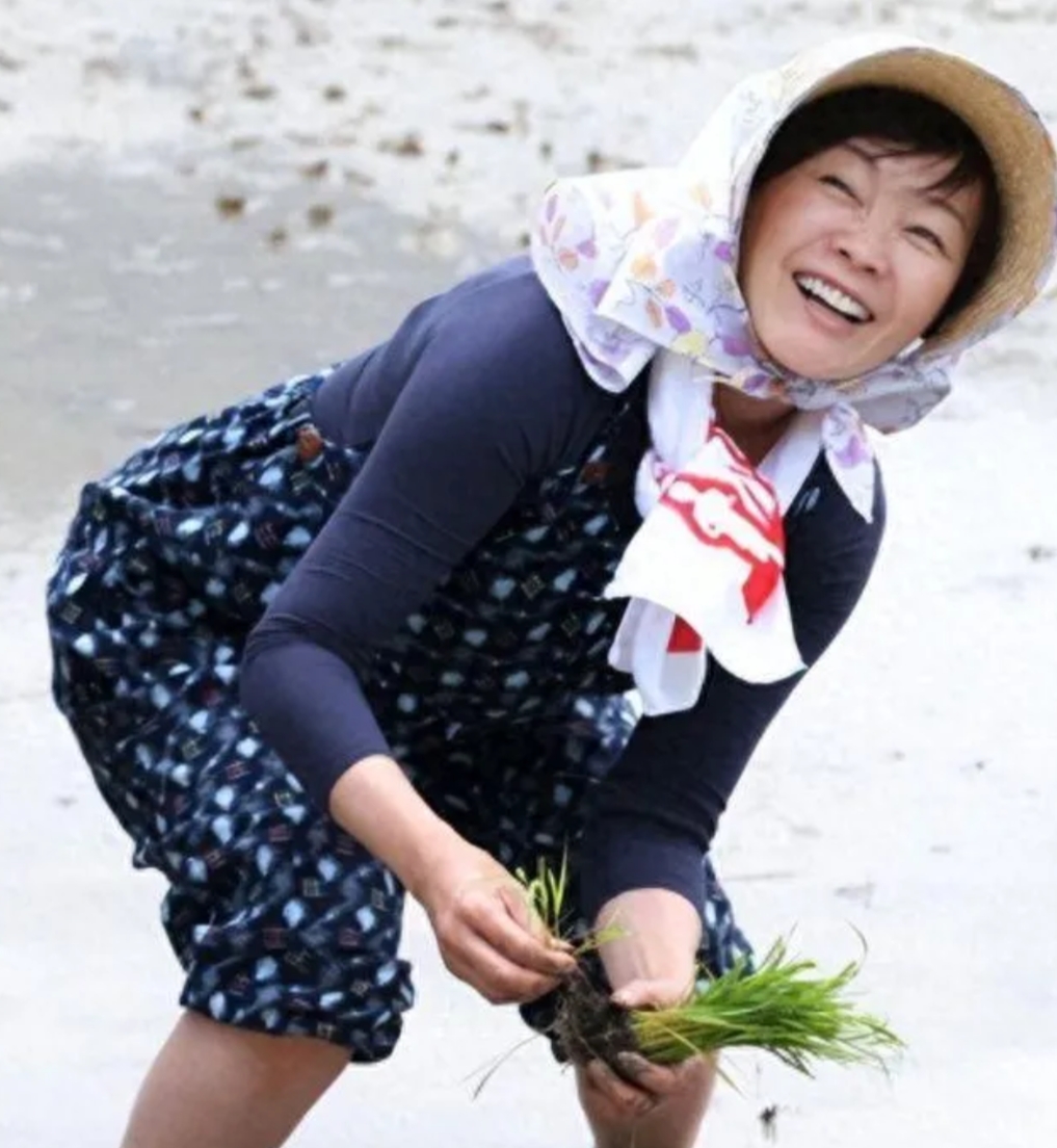 日本的安倍晋三死去后，他的遗孀过起了乡下生活，午餐也是自己带的饭团。