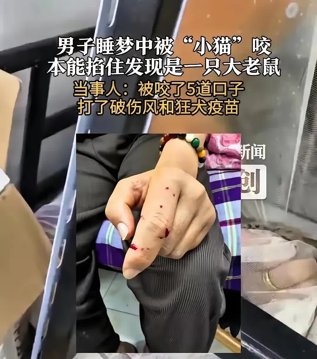 无锡一夜太惊心

男子本是美梦酣然

明明手上有物爬过，恍若是家中那只温