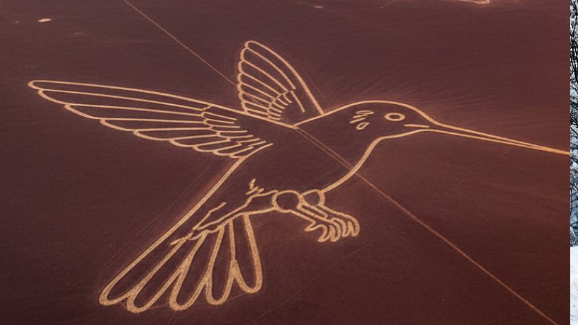 穿越南美6国！亚马逊到复活节岛的奇遇✨ 朝闻国旅 I 南美