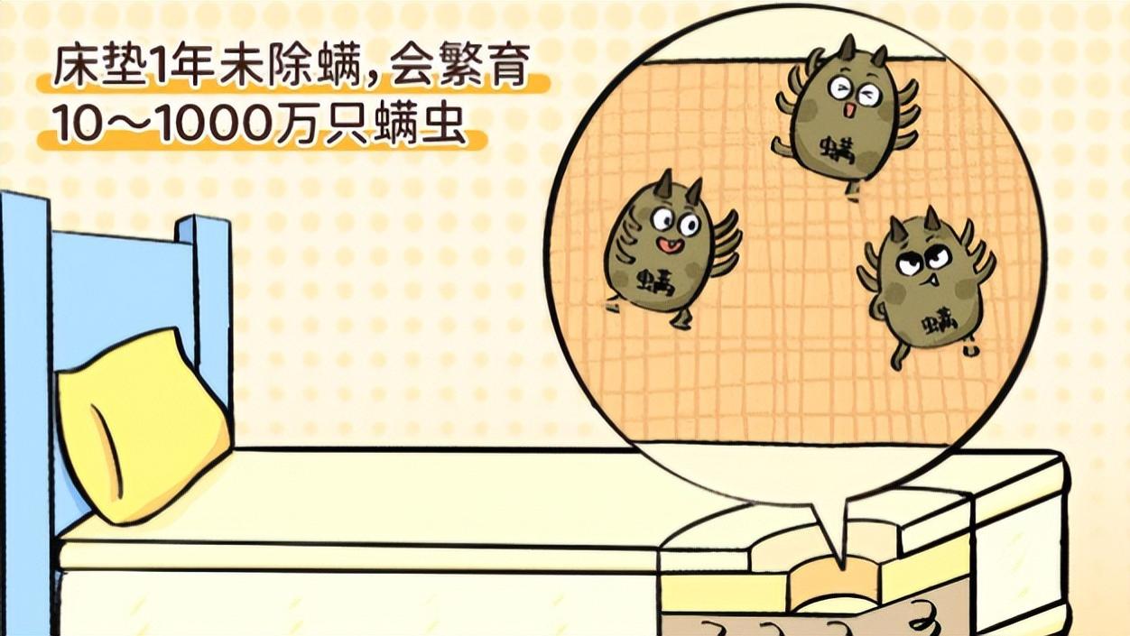 有线除螨仪哪家最好最安全哪个牌子好？除螨仪是鸡肋吗？2026年不同价位除螨仪前十名盘点评测，新手必看