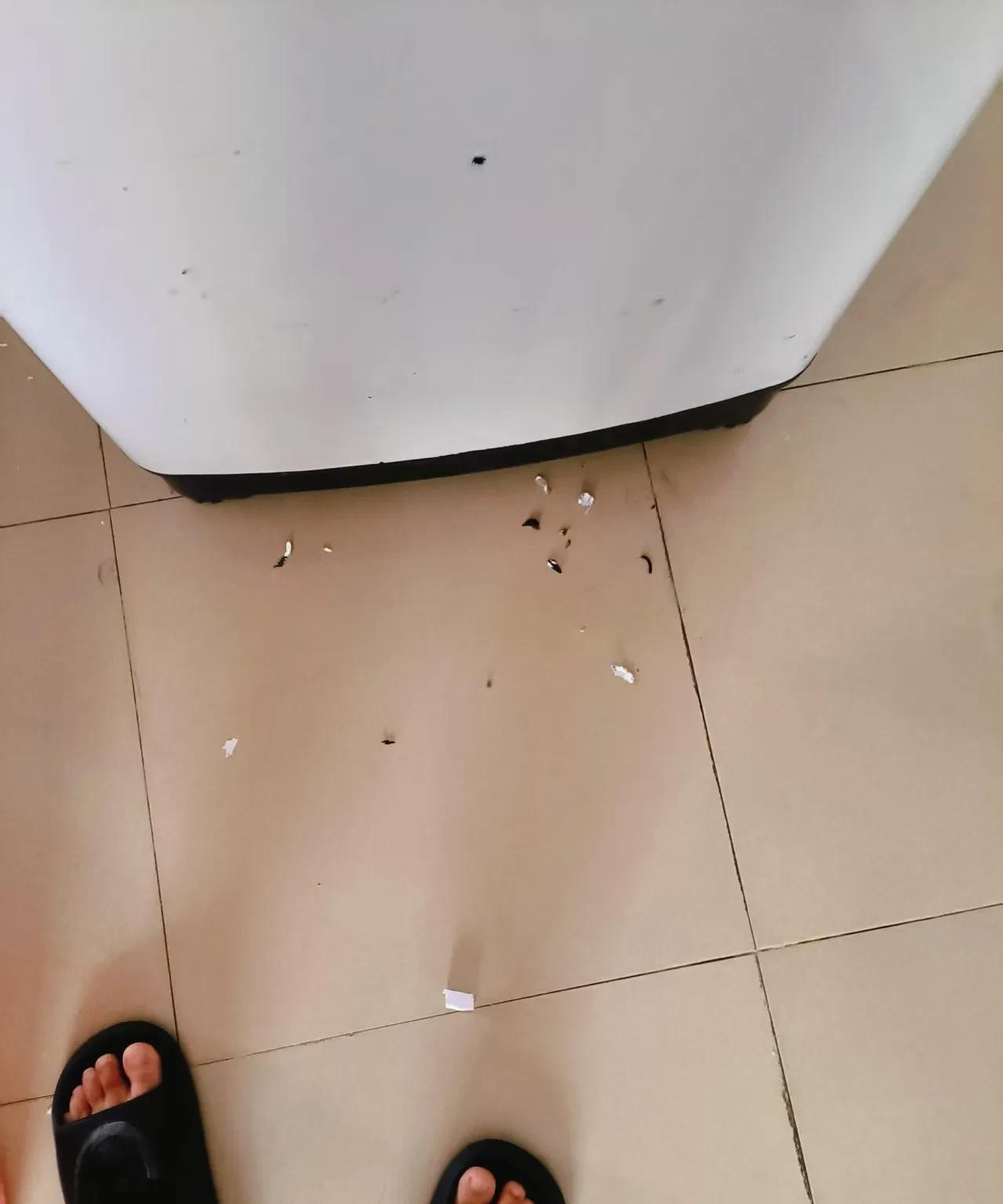 家里老鼠泛滥成灾怎么办？
我是租房在城中村的，住在4楼，一楼底下旁边有一条臭水沟