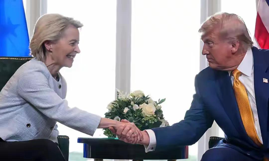 美国总统与身为多位美国公民家属的冯-布莱恩代表美国与欧盟达成了关税协议。
日本空