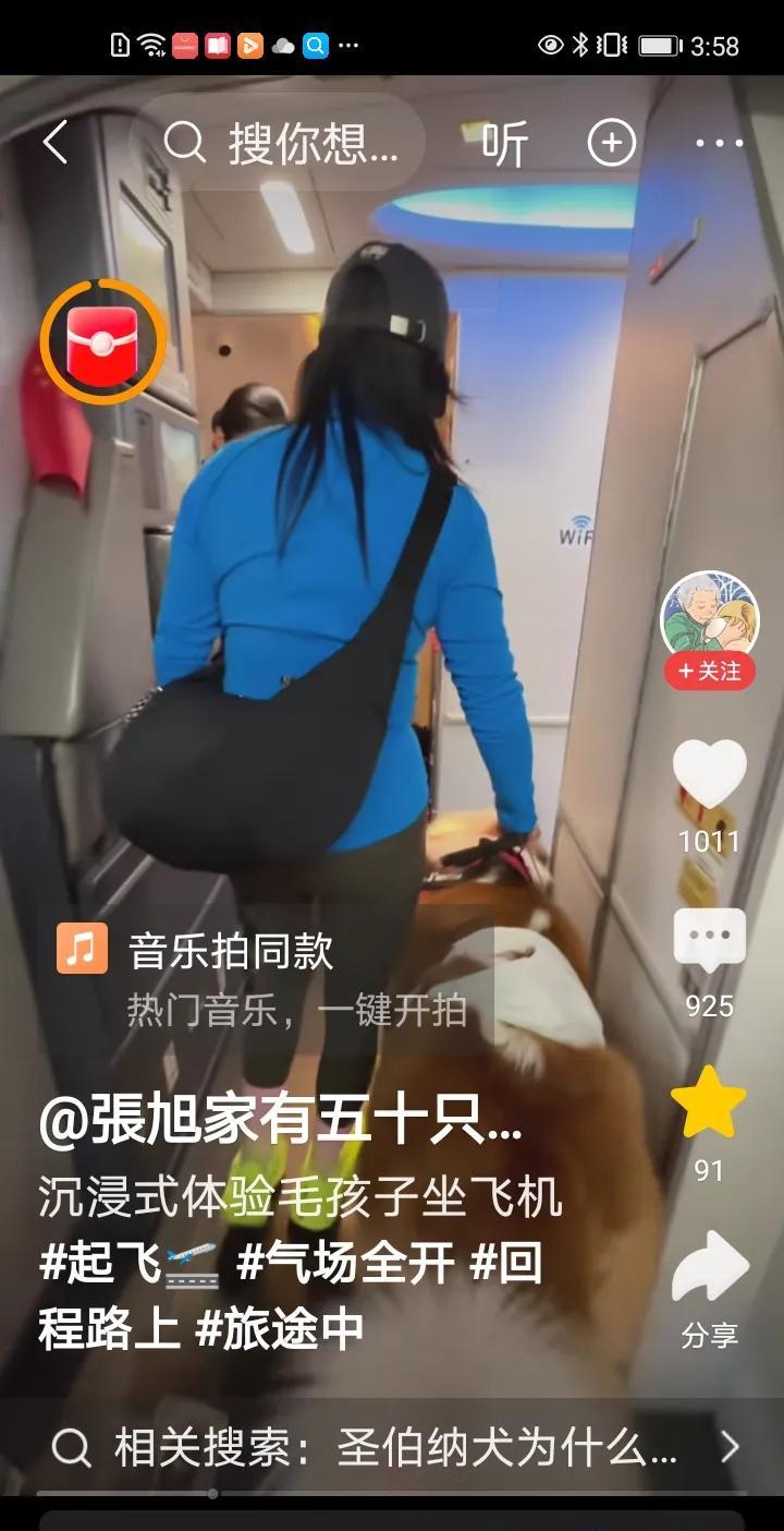 沉浸式体验毛孩子坐飞机，这个视频不知道是哪一个航空公司？
原来我并不讨厌狗，现在