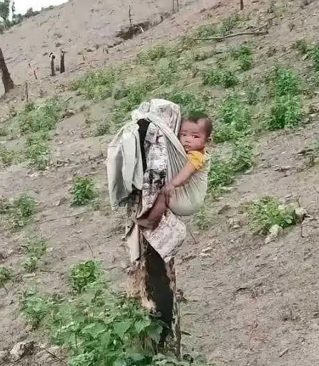 妈妈真是个人才，在上面待了一下午都没哭没闹