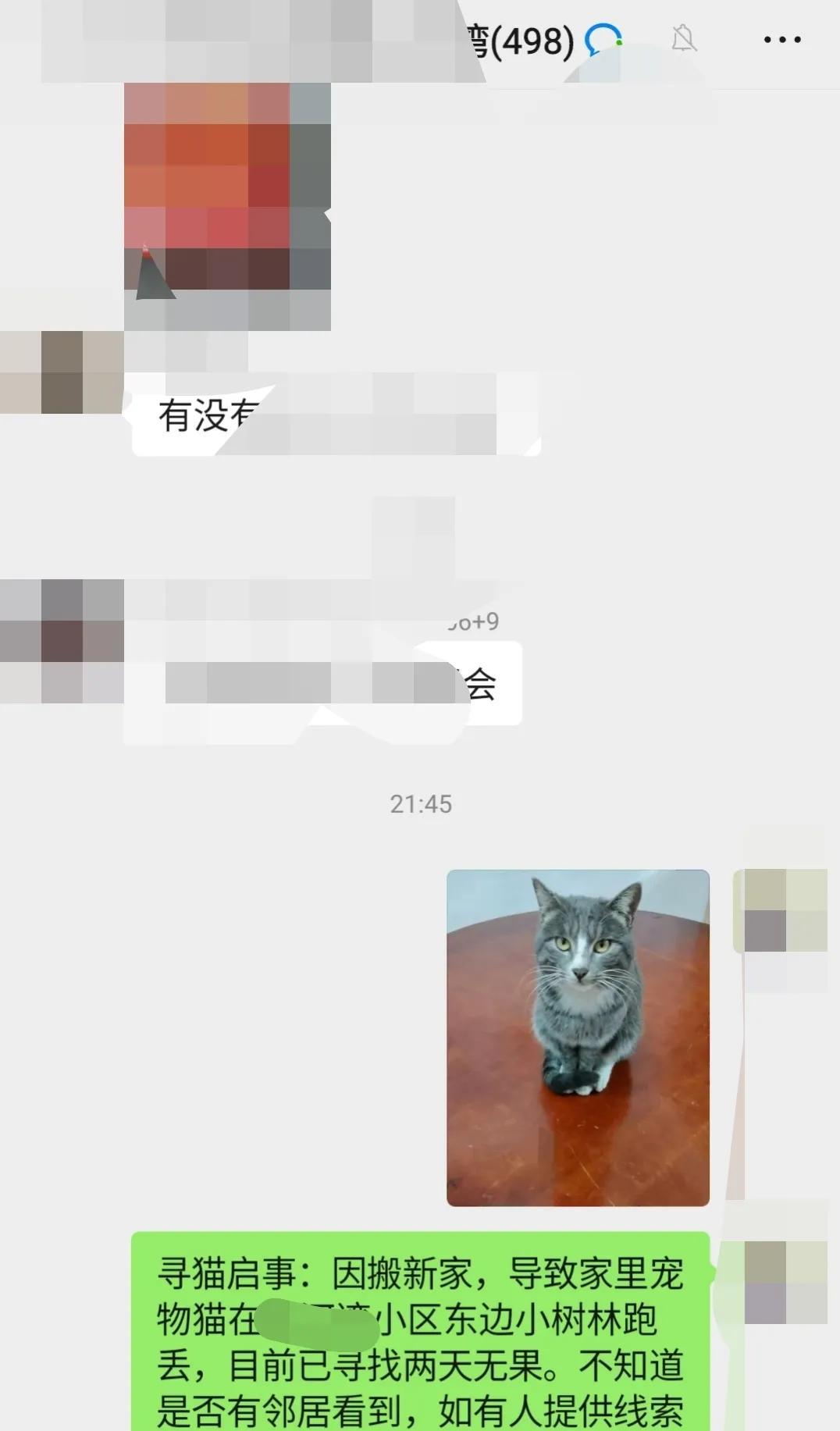 有一件很伤心的事情，告诉友友们，我家的猫咪在熊孩子那边跑丢了，已经走丢两三天了。