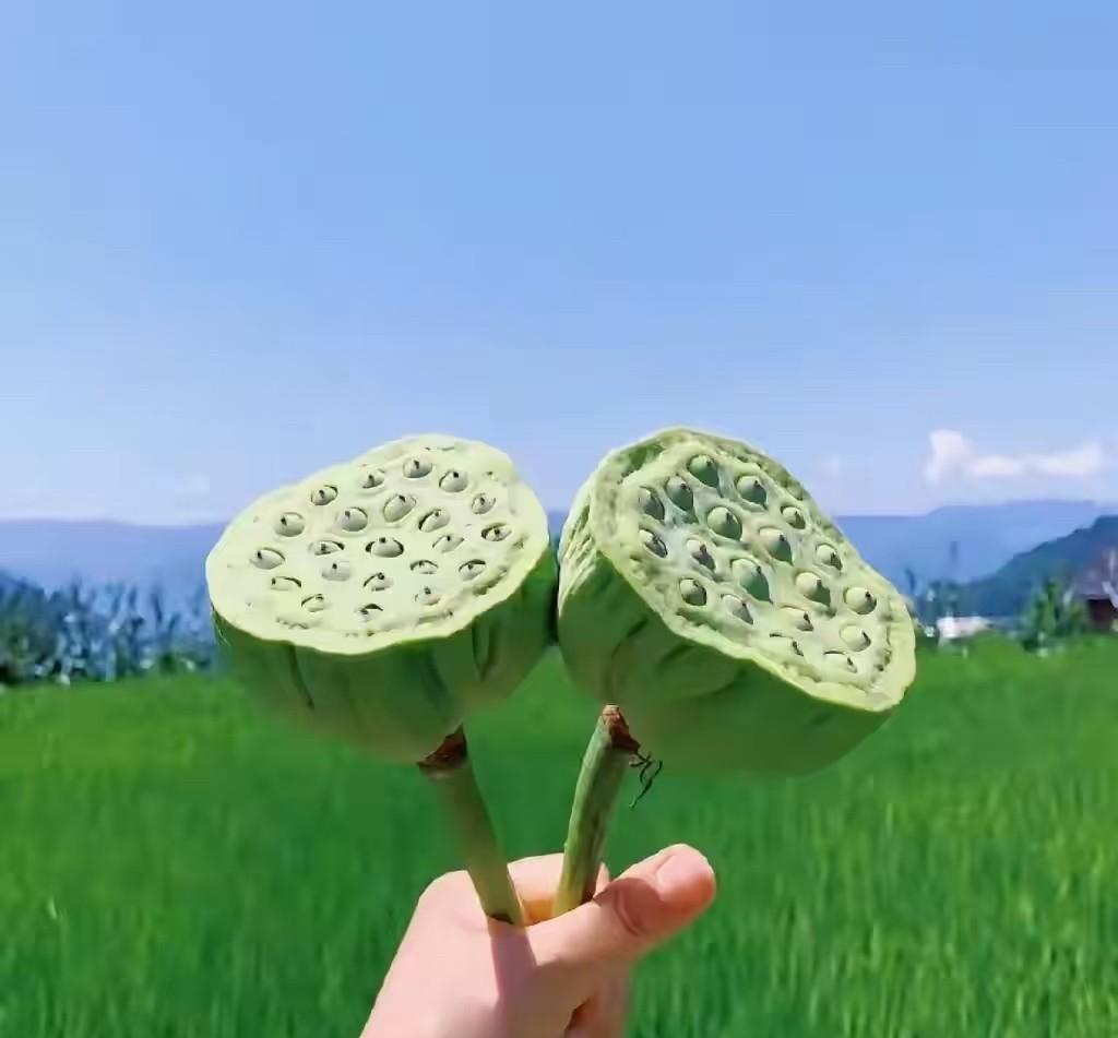 今天是我老家的庙会
记得20年前的今天
城里家家户户请乡下的亲戚来做客
亲戚多的