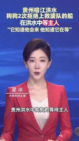 “还吃得下狗肉吗？”贵州榕江，洪水肆虐期间，一只小狗被救援队发现，谁料小狗不仅两